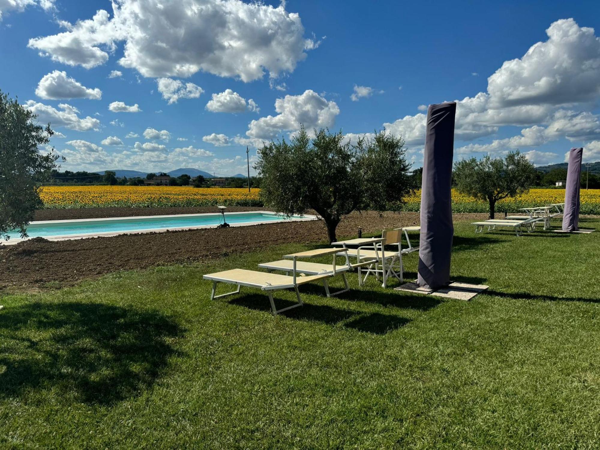 Assisium Agriturismo Ngoại thất bức ảnh