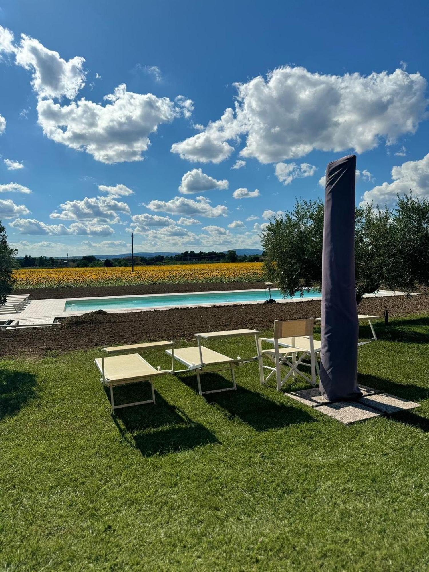 Assisium Agriturismo Ngoại thất bức ảnh