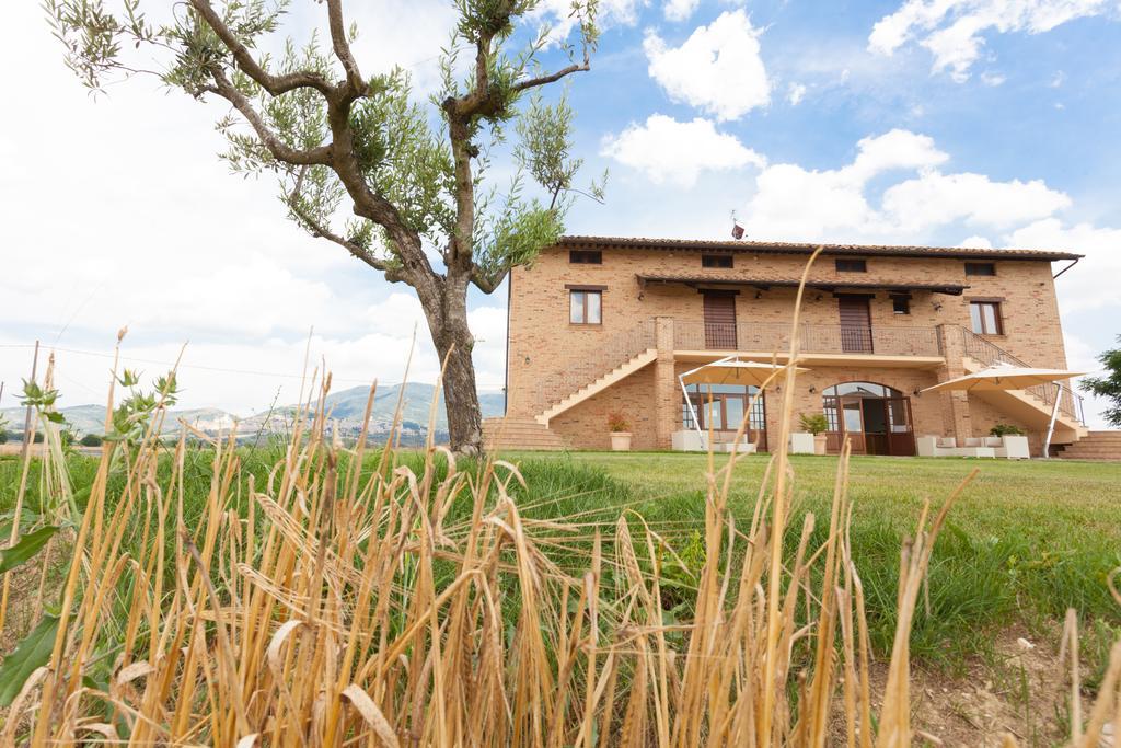 Assisium Agriturismo Ngoại thất bức ảnh