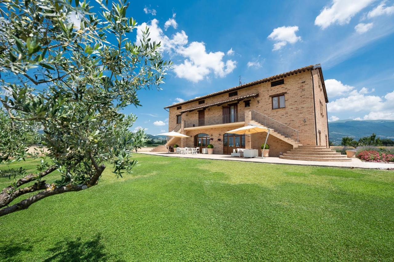 Assisium Agriturismo Ngoại thất bức ảnh